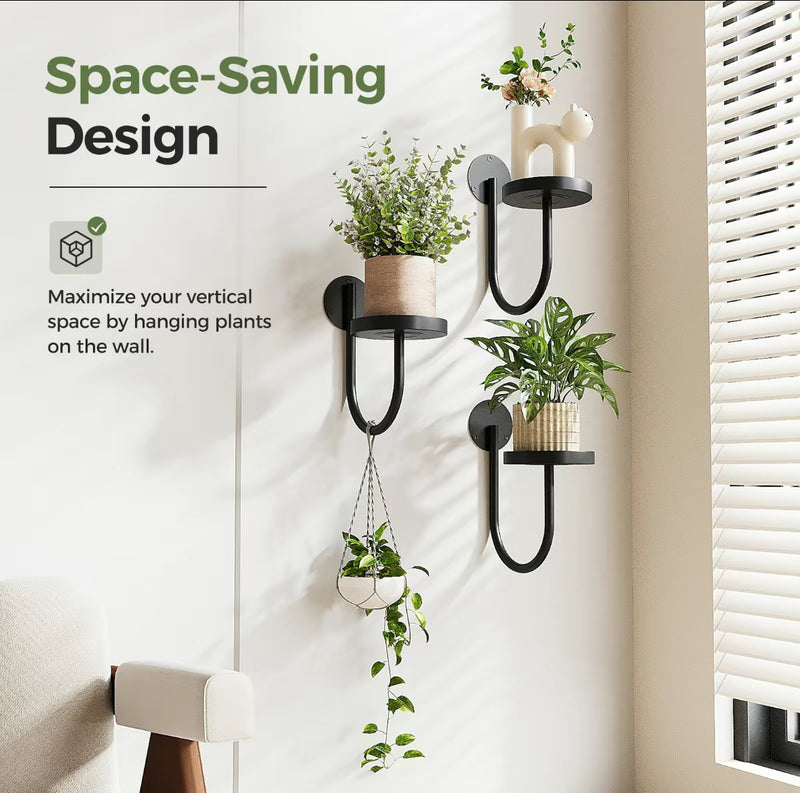 3pcs Wall Mounted Plant Holder Set
