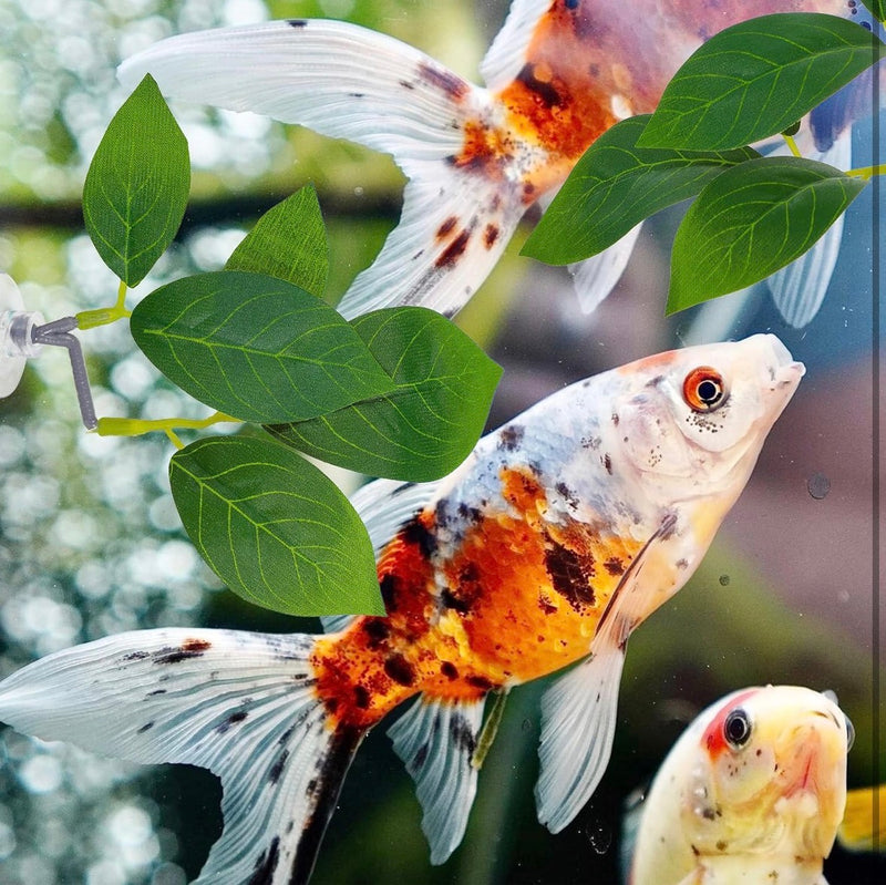 Betta Leaf Hammock 3 Pack