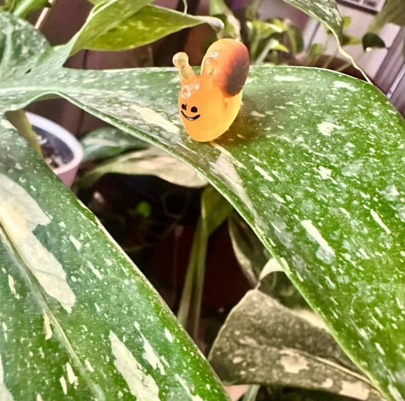 PetalPals Plant Magnets