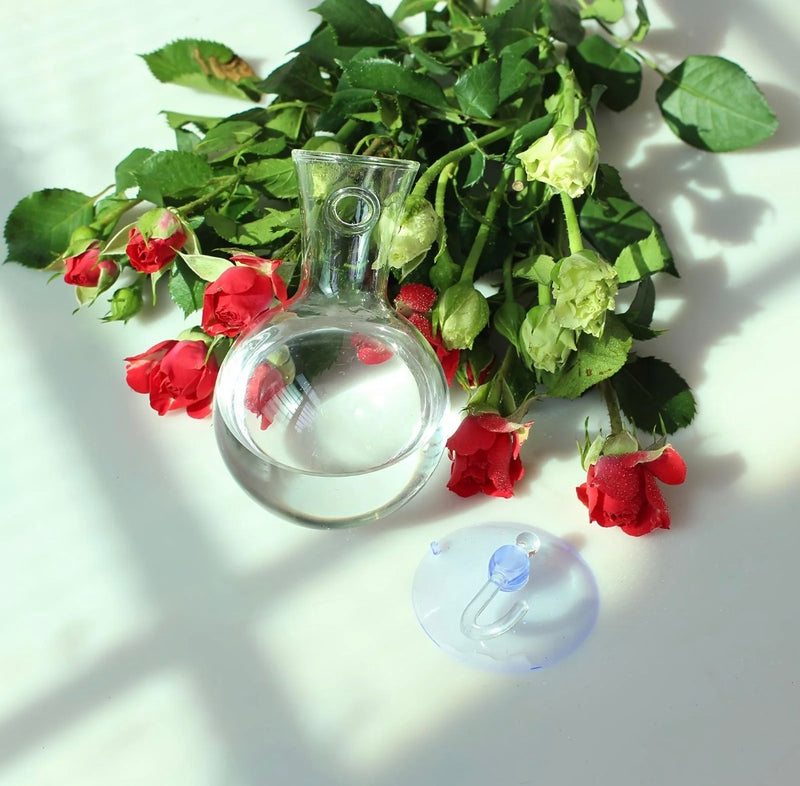 Glass Suction Cup Plant Vases – Set of 4
