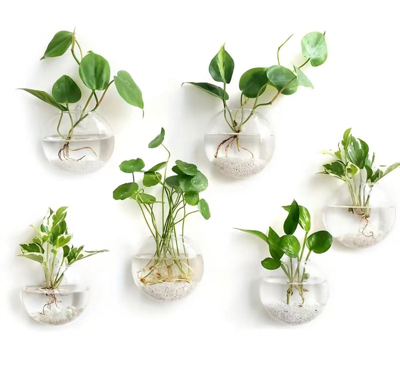 Wall Mounted Glass Planter 2PC