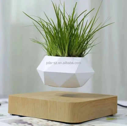 Levitating Plant Magnetic Pot Display