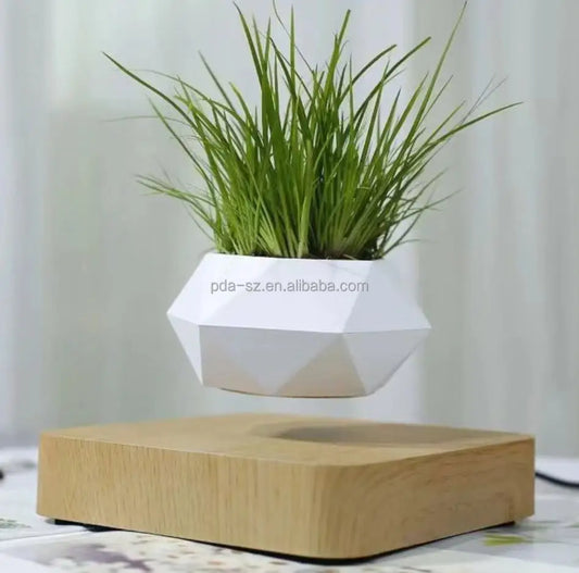 Levitating Plant Magnetic Pot Display