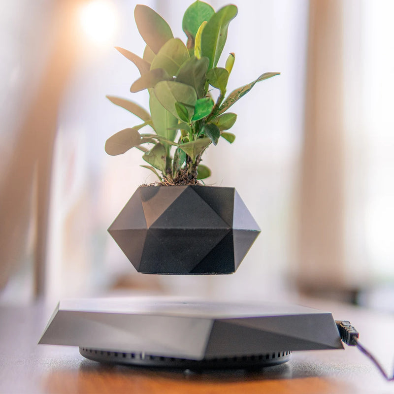 Magnetic Levitating Plant Pot Display