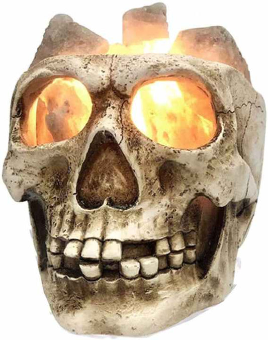 Enchanting Skull Himalayan Salt Lamp
