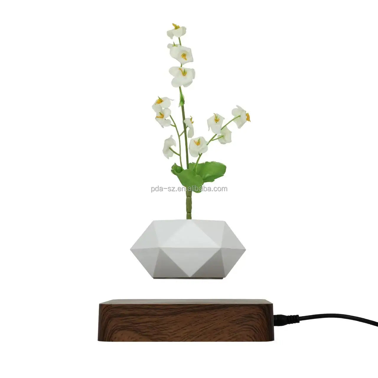 Levitating Plant Magnetic Pot Display