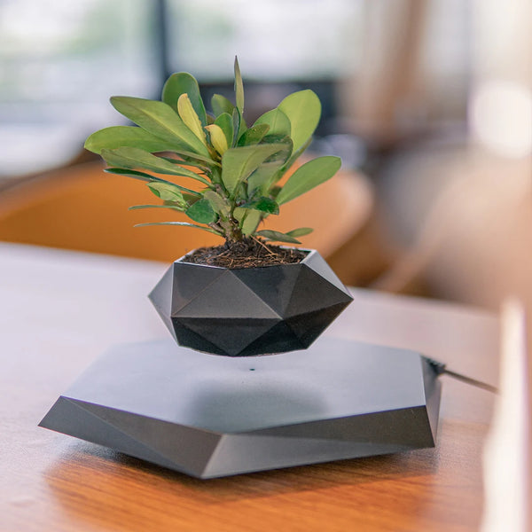 Magnetic Levitating Plant Pot Display