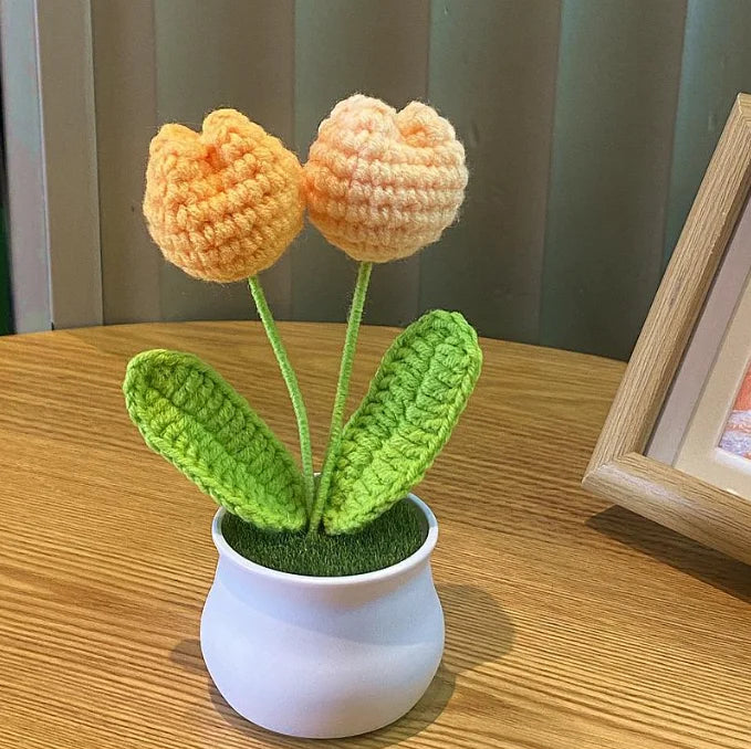 Handmade Crochet Potted Flowers